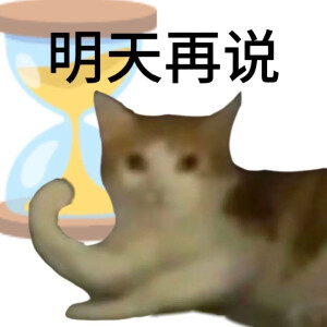 沙雕猫wow表情包图片