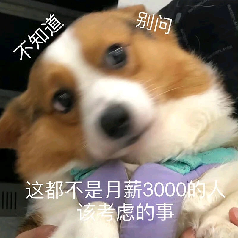 沙雕狗子表情包