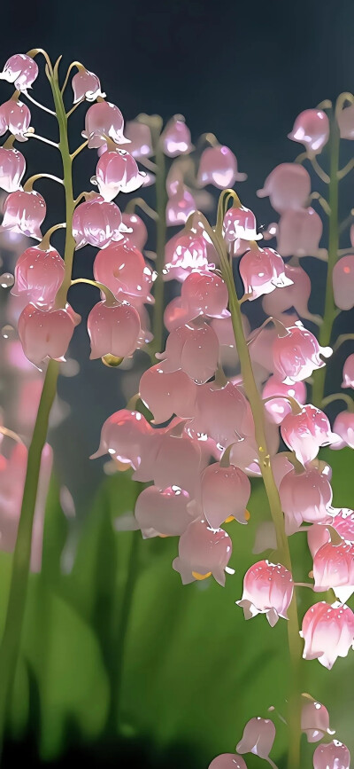 壁纸
@呆桃殿下
拿图赞评♡.
来源｜wb
侵权删