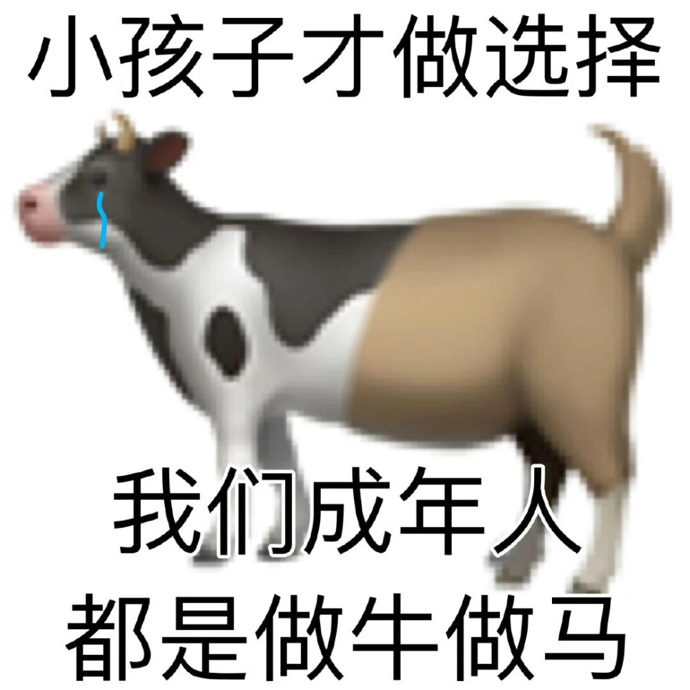 沙雕动物表情包