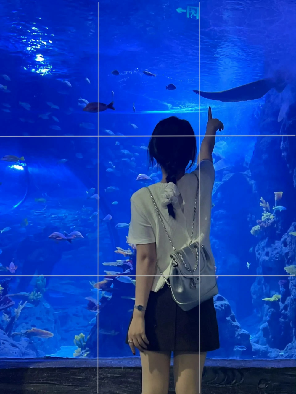 水族馆 氛围感
壁纸
街景
头像
背景
美图
漫头
情头
专辑封面
AI风景动漫风景
