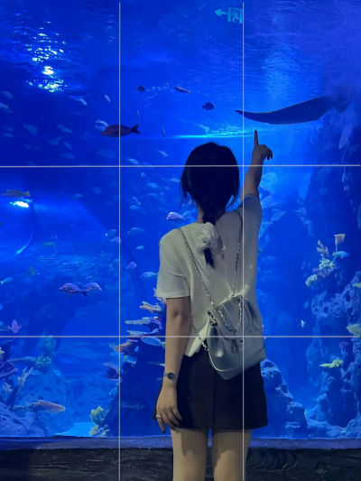 水族馆 氛围感
壁纸
街景
头像
背景
美图
漫头
情头
专辑封面
AI风景动漫风景
