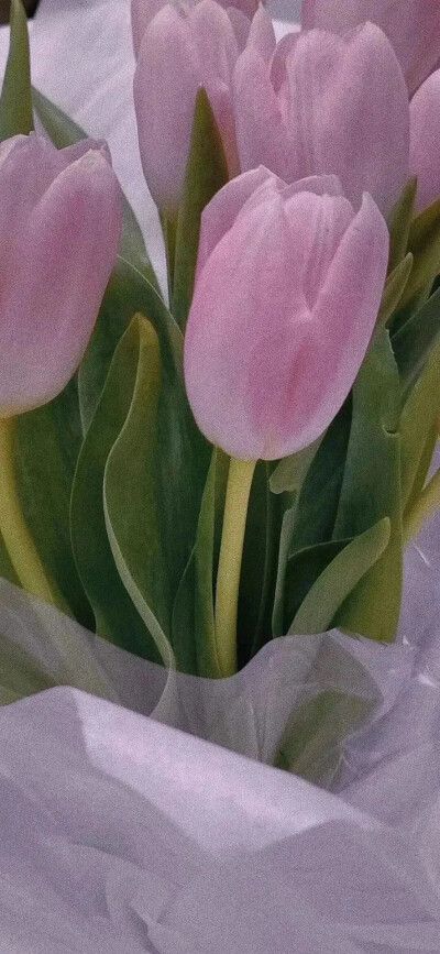 壁纸
@呆桃殿下
拿图赞评♡.
来源｜wb
侵权删