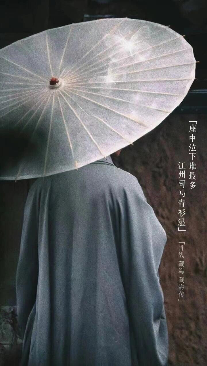 藏海