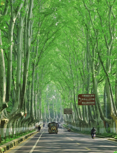 湖光山黛，亭宇楼台，佛思塔影，笛扬弦弹。