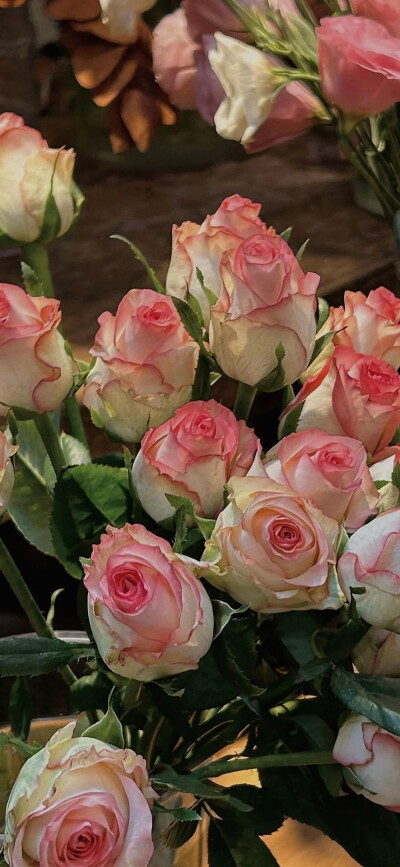 手机壁纸高清全面屏