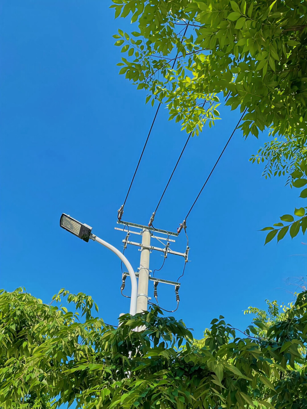 夏日感背景图