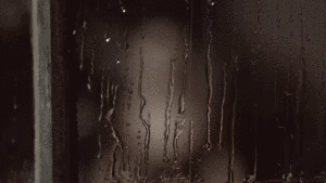程鑫GIF（不标别用）