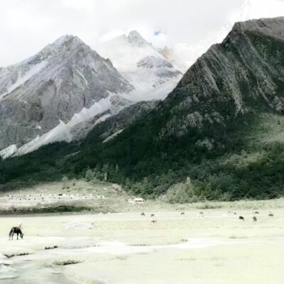 淡翠色的烟雾逐渐弥漫至山野间，潮湿空气呼啸叫嚣，留下痕迹，身体的轨道横行方向，而后离开这片荒芜。【La piste du corps traverse la direction, puis part.】