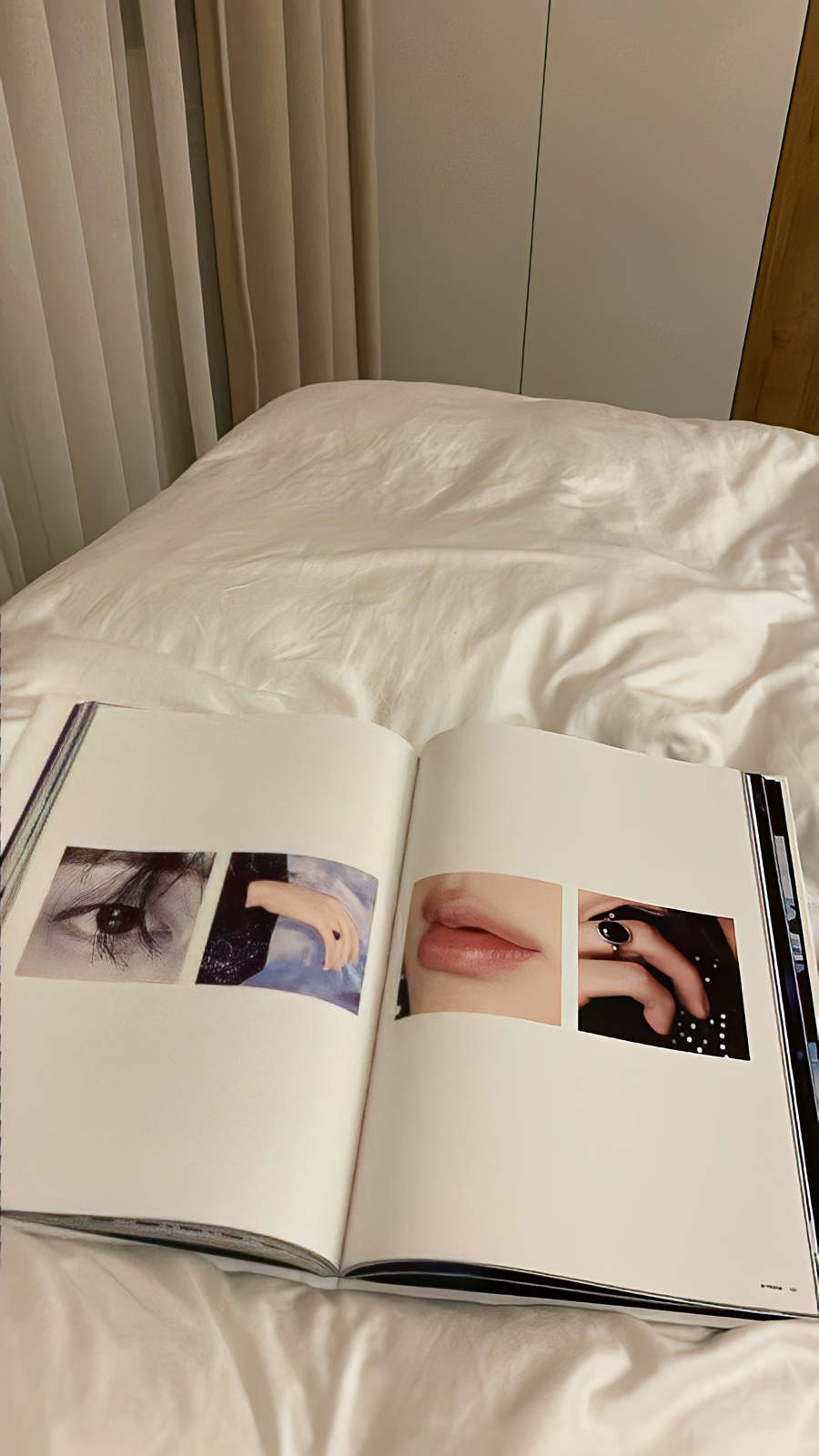 壁纸