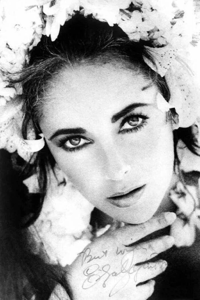 Elizabeth Taylor