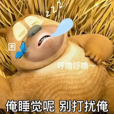 伤心的熊二 