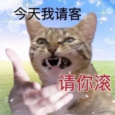 表情包