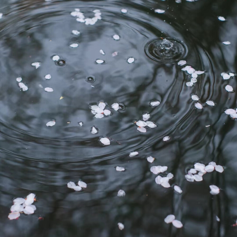 水中花背景图