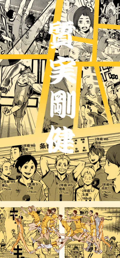 排球少年（转自lofter太太：七沂 是太太辛辛苦苦做的 不可商用 上传只做壁纸收藏 不妥立删）