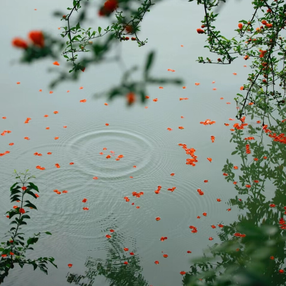 水中花背景图