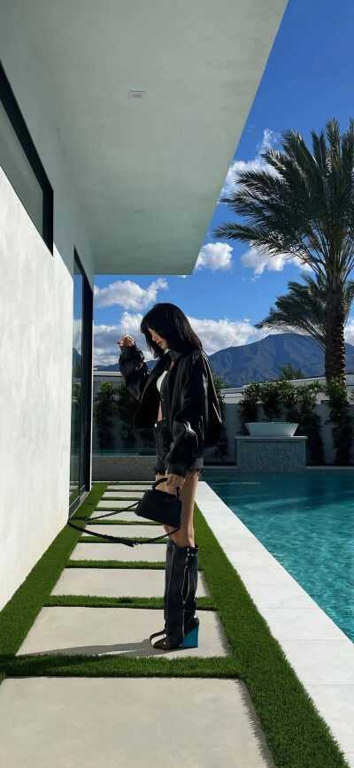 Lisa壁纸