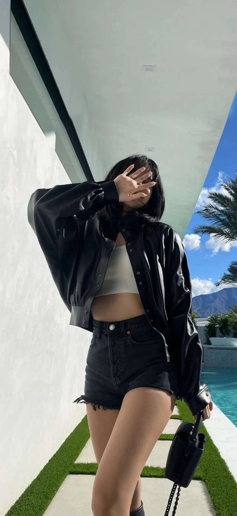 Lisa壁纸