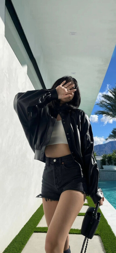 Lisa壁纸