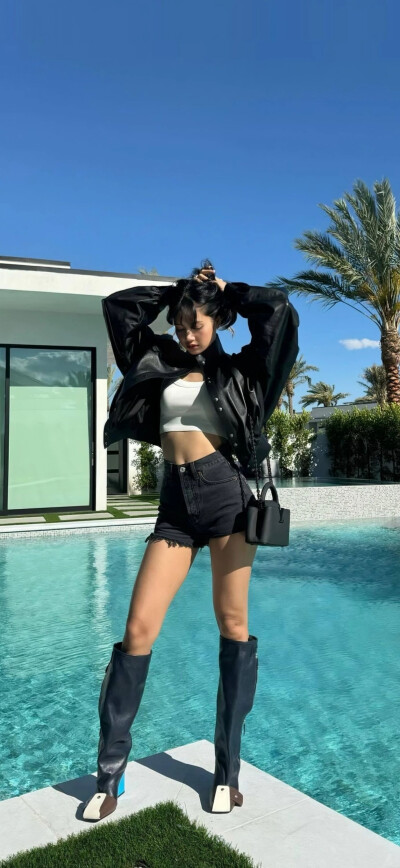 Lisa壁纸