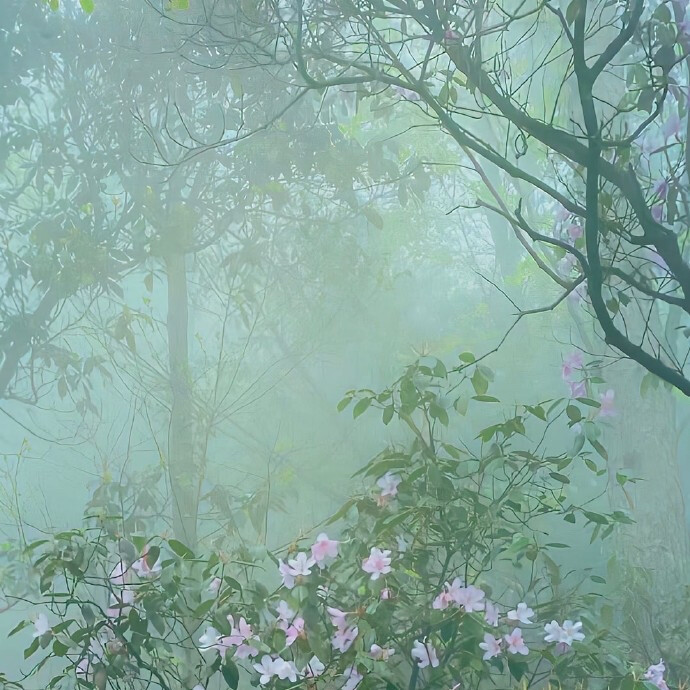 背景｜文案
听说 ，橘红色的天空是星星在出嫁。