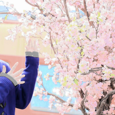 Samidare‘《五月の花（May blossom）》&Yuma:.｡. o