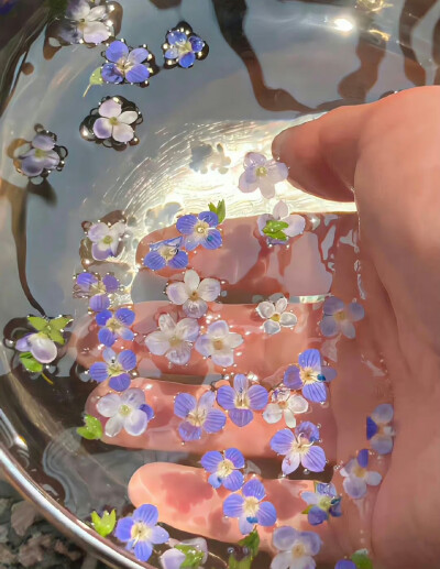 水中花背景图