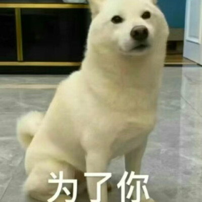 修勾情头
搞怪情头