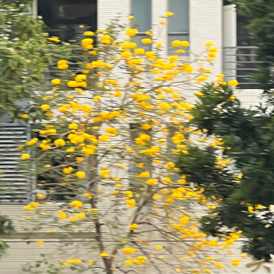 背景｜文案
听说 ，橘红色的天空是星星在出嫁。