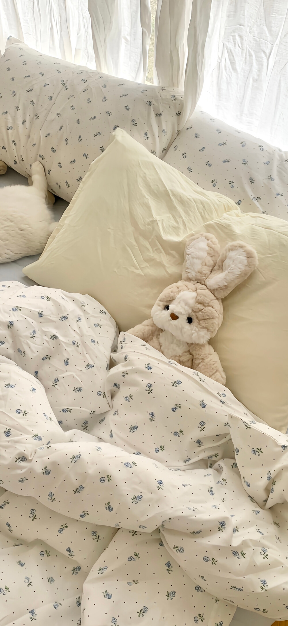 高级感手机壁纸