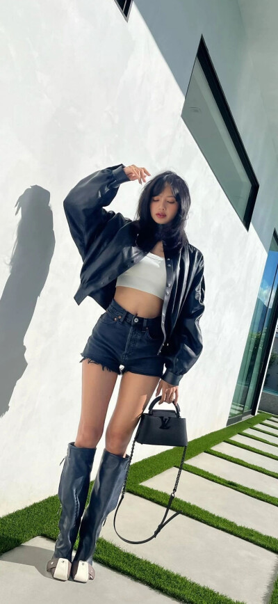 Lisa壁纸