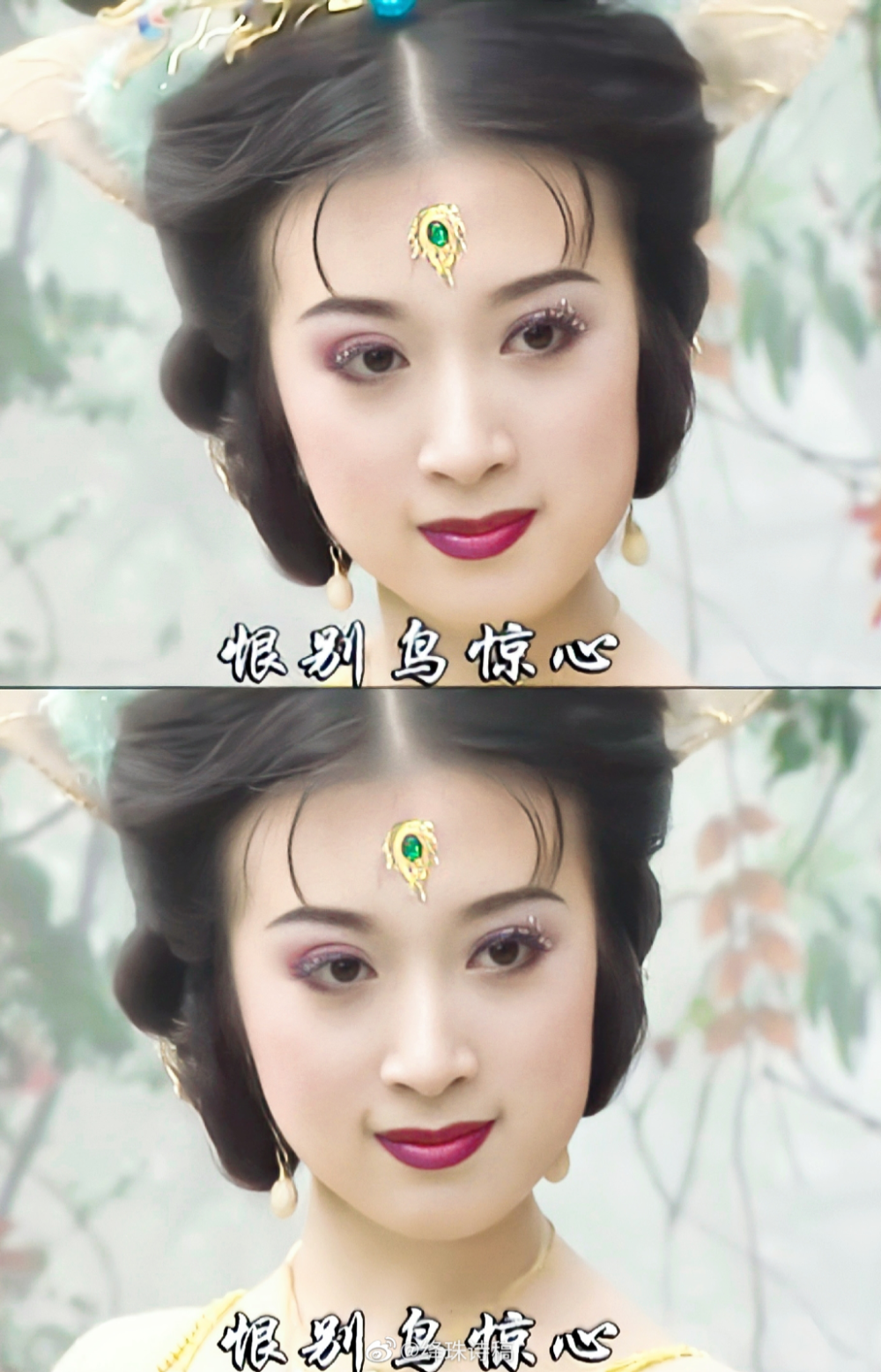 金巧巧孔雀公主