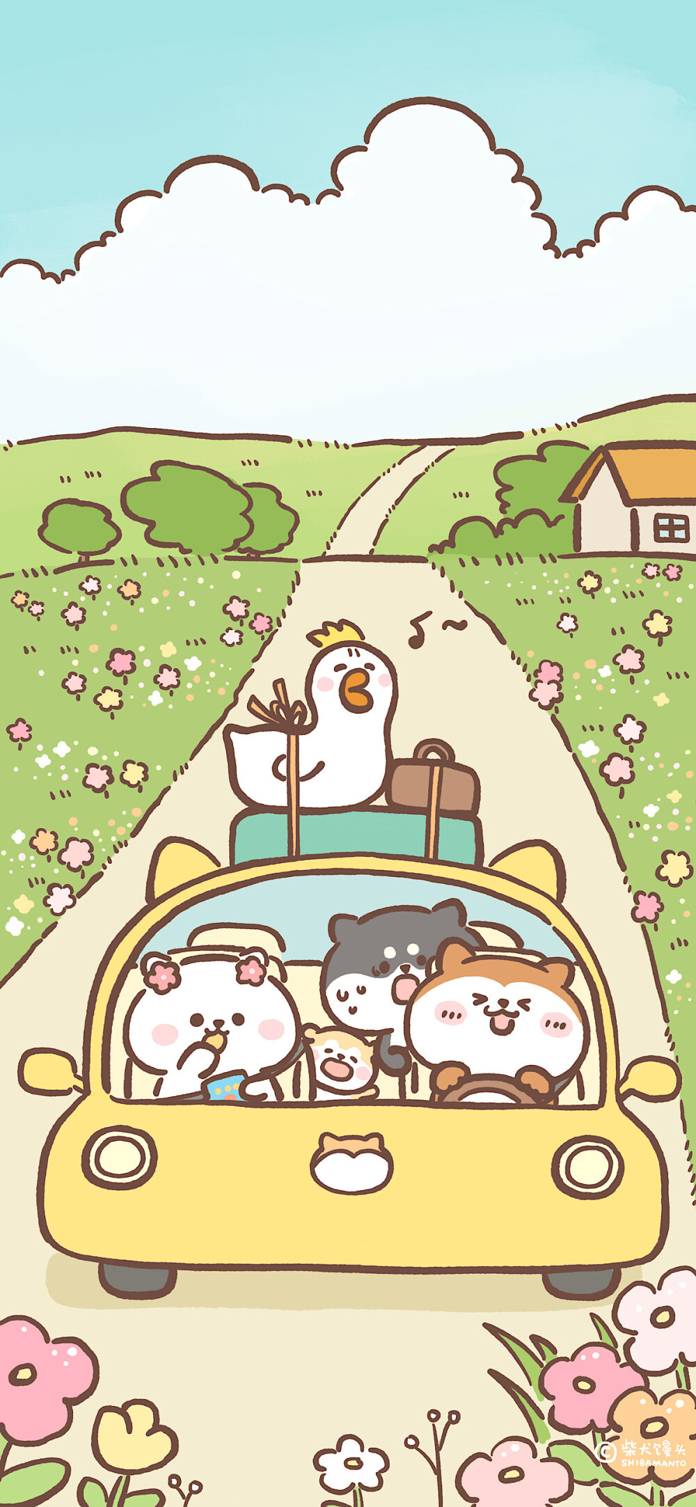 手机壁纸头像