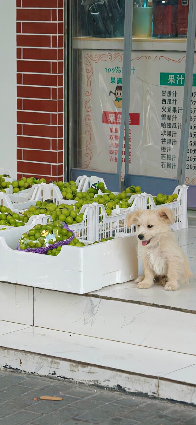 绿色 ins风 锁屏壁纸