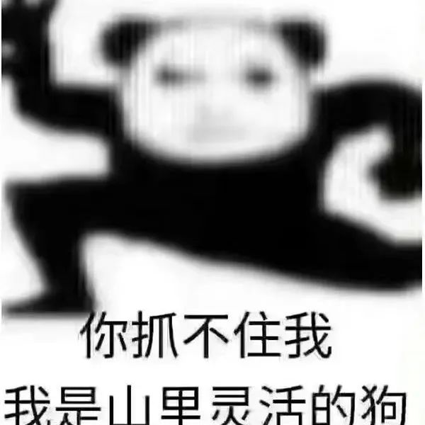 龙图