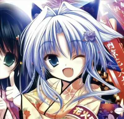 dt 2y-d