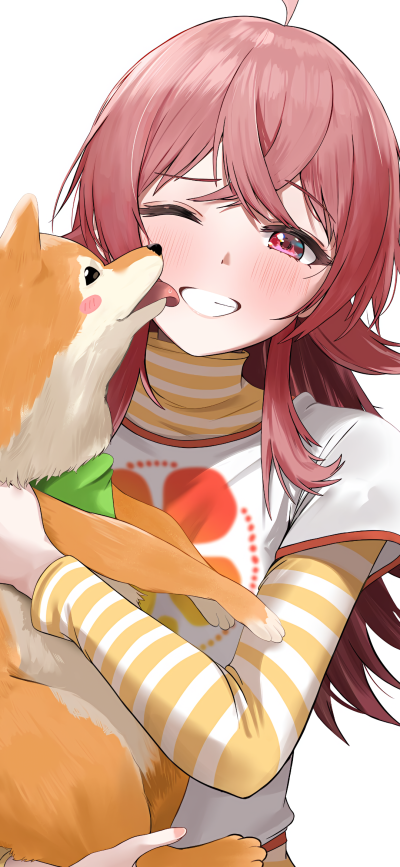 二次元壁纸