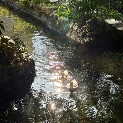 波光粼粼背景图