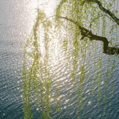 波光粼粼背景图