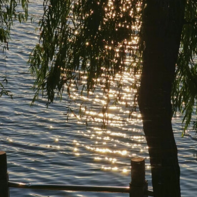 波光粼粼背景图