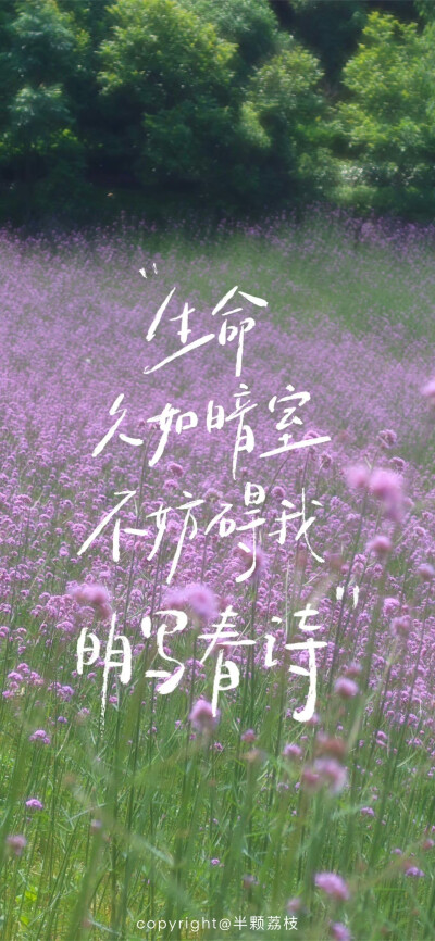 ▸春日文字壁纸
"春天也在准备拥抱你"