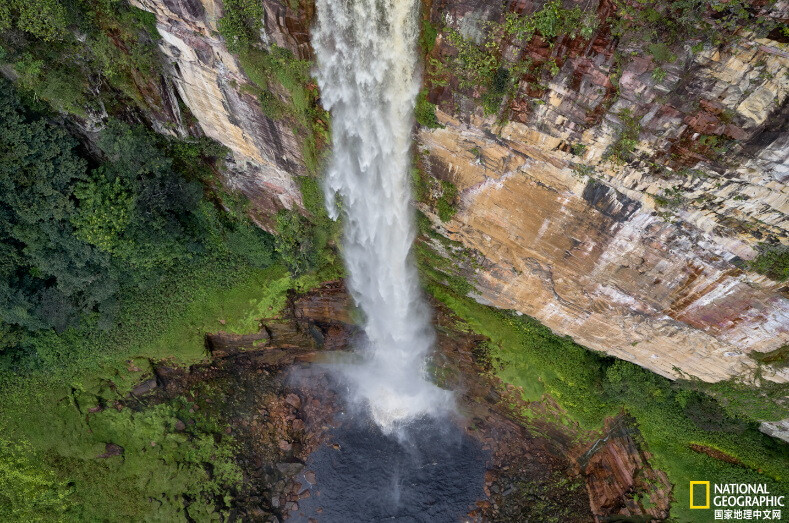 《来自山巅》
在圭亚那的瓦亚拉扬村附近，瀑布从峭壁上跌入阿塔罗河。摄影：Renan Ozturk
