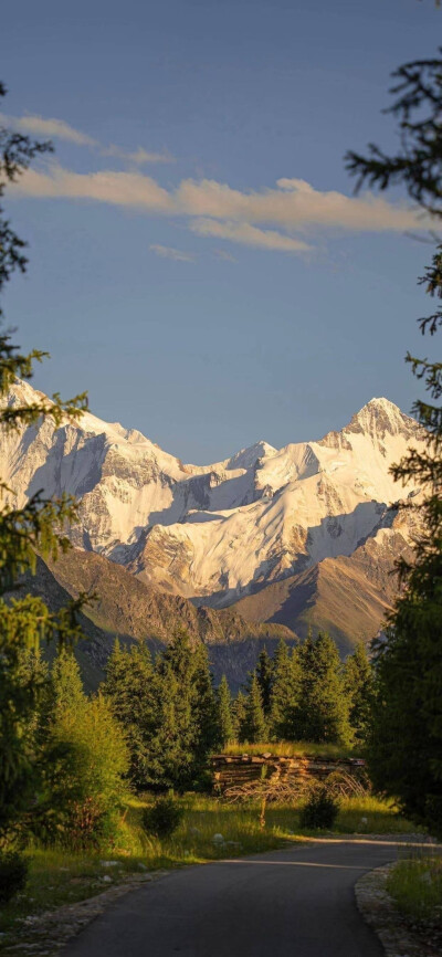 “我自是高山流水”