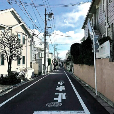 你也喜欢小兔子吗