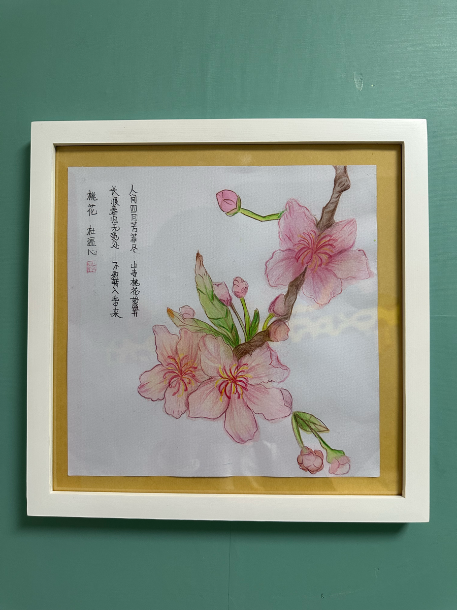 花卉装饰画
本节课主要把握花朵的绘画方法，先找到花的外轮廓位置、花蕊的位置，再去处理细节，不要执着于花朵繁琐的外表，要找到大关系，在找里面细节，处理每一朵花之间的关系，它们之间有空间关系和遮挡关系。
运用多种形式表现花卉，有的同学用线描元素丰富花卉的黑白灰关系；有的同学用彩铅过渡叠加的方法表现花卉的层次关系﻿；有的同学用水彩晕染的技法表现花卉，形式丰富多彩，都完成了一份不错的装饰画，值得表扬，希望在今后的学习中再接再厉。