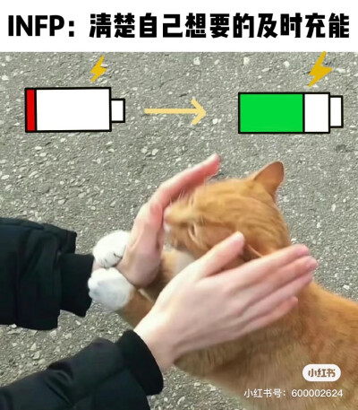 INFP梗图
图源小红书