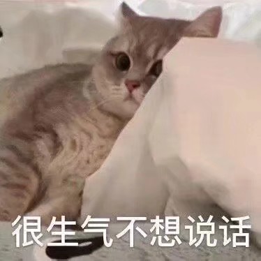 猫猫表情包。
