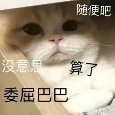 猫猫表情包。