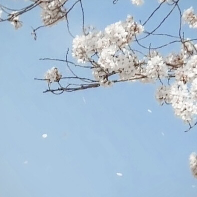 “是风是雨 是每一次呼吸”