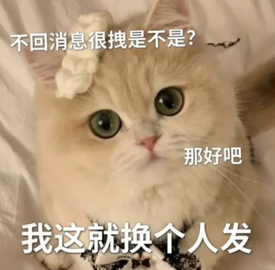 猫猫表情包。